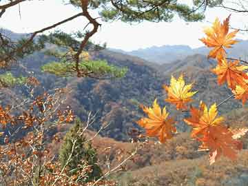 大气采样器采样管安装