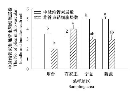 砌块与天然胶粘剂的种类及其特性分析