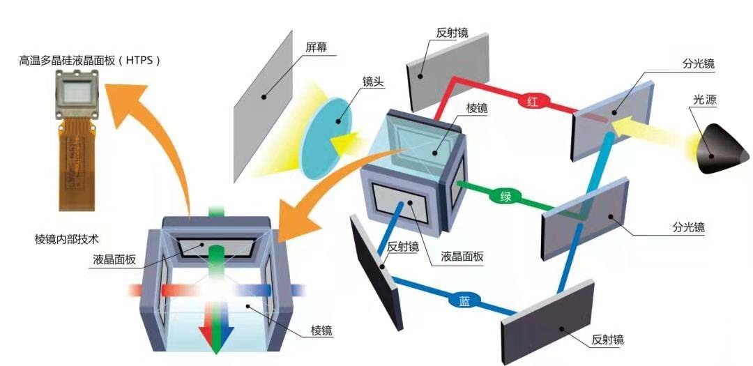 羧酸分析仪，技术原理与应用领域