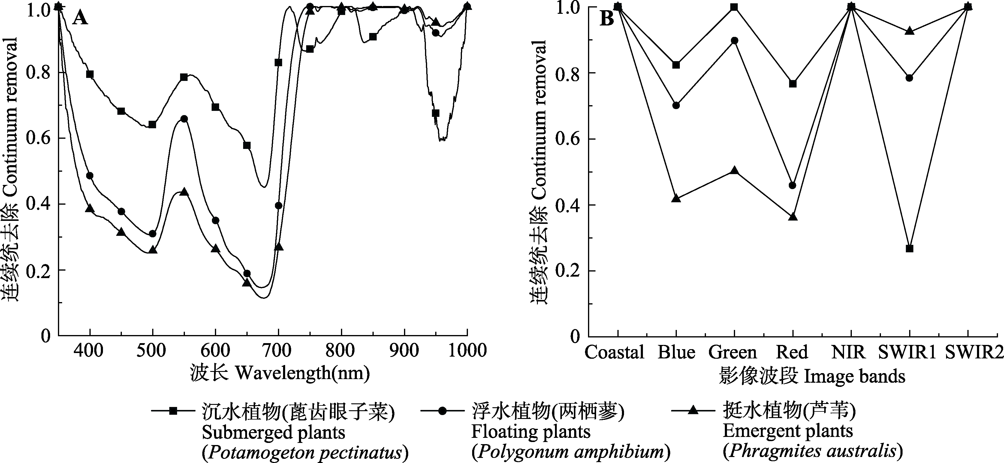 钒离子结构示意图及其特性分析